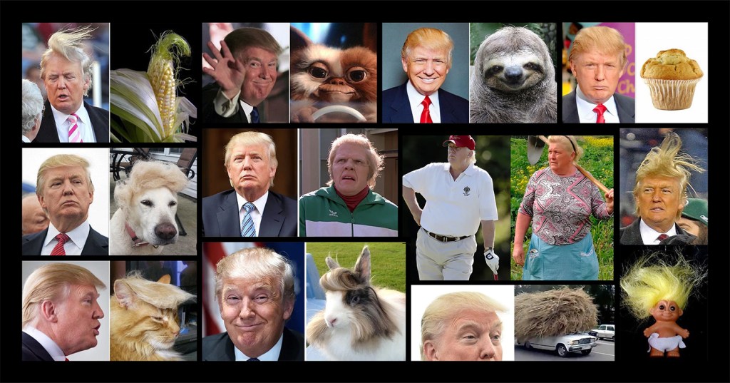 Collection of meme comparing Trump to things that look like him.